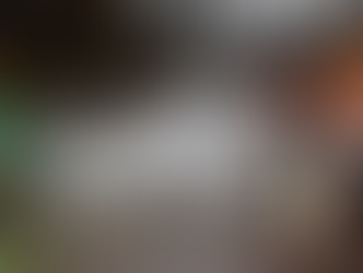 Literature Review 1 // Richard Coyne, "The Book of Stones"