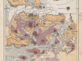 Wk 19 // Hochstetter's observations