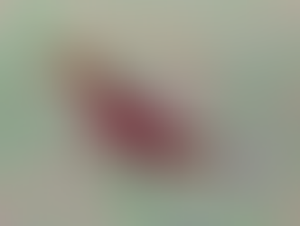 Mid-semester break // warming up with some absolute nonsense