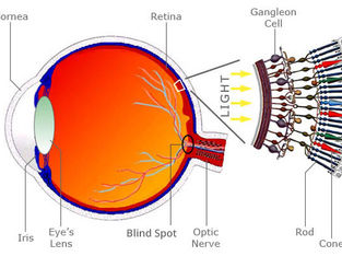 Week 5 - meeting notes, preparation for critiques