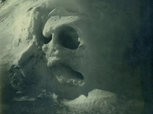 Literature Review 3 // "On the Last Afternoon: Disrupted Ecologies and the Work of Joyce Campbell"