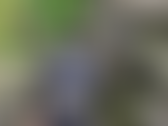 Wk 16 // small field recording trips (audio)