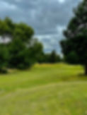 Par3.jpeg