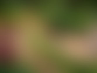 Places to visit in Tamil Nadu in Summer 2023