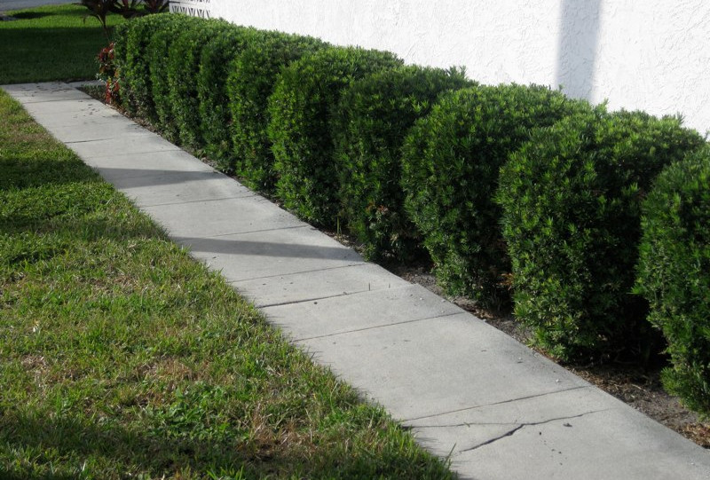 GALLERY Beneva Gardens Apts