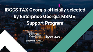 Enterprise Georgia  MSME Support Program
