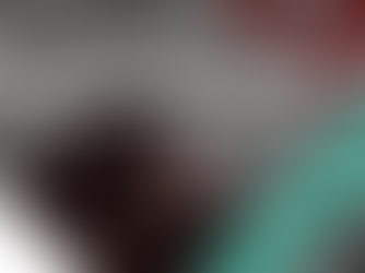 საქართველოს 2026 წლის შრომითი საქმიანობის ნებართვა