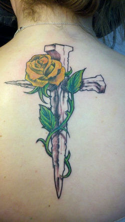 208918_600755659953376_1449242830_n