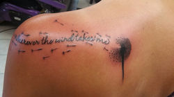 995136_668830006479274_1273598025_n