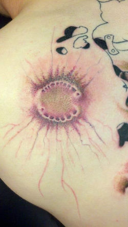 539566_575871345775141_581275877_n