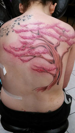 1505419_835590066469933_4017907037279815073_n