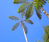 DSCN8231.JPG