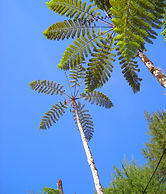 DSCN8231.JPG