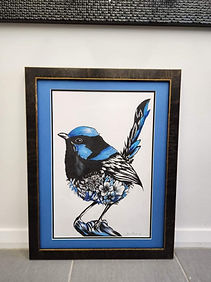 Artwork of a Blueren that has been framed.