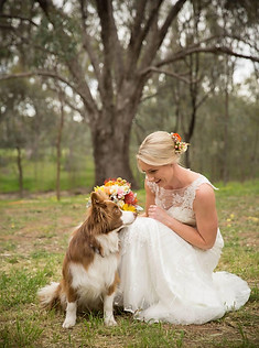 bride with dog.JPG