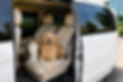 Mercedes V Class interior for pet friendly private transfers | MYEUTAXI