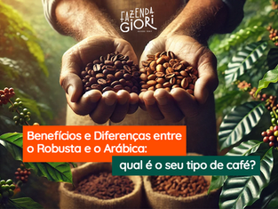 mãos segurando grãos de café robusta e café arábica