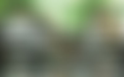 THE MENTALITY OF THE SIDE PIECE