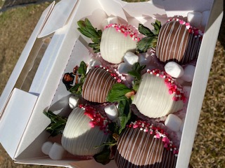 Arranged Food and Objects