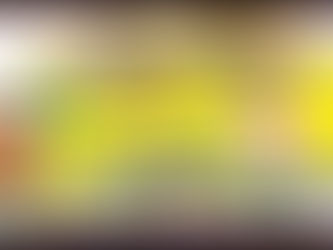 MOBILITA' PROVVISORIA