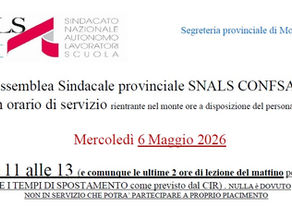 ASSEMBLEA SINDACALE PROVINCIALE SNALS