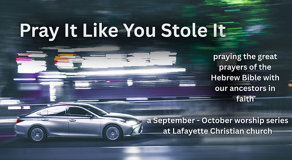 Pray It Like You Stole It Series.png