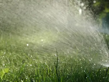 IRRIGATE TO ELEVATE