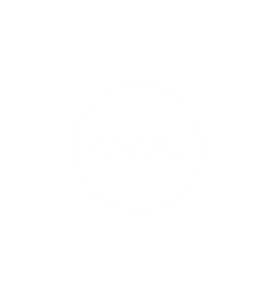 Matt Martin Ventures-logo-white.png