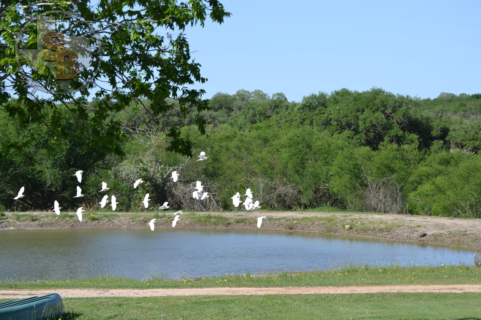 RV Park | Victoria Texas | Southbound RV Park and Cabins