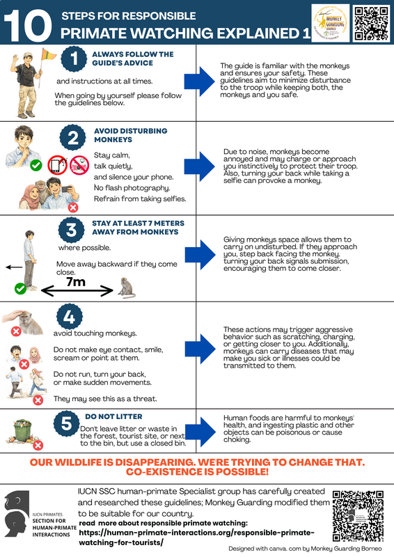 primate-watching-explained-1_orig.png