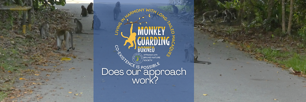 approach (1).png