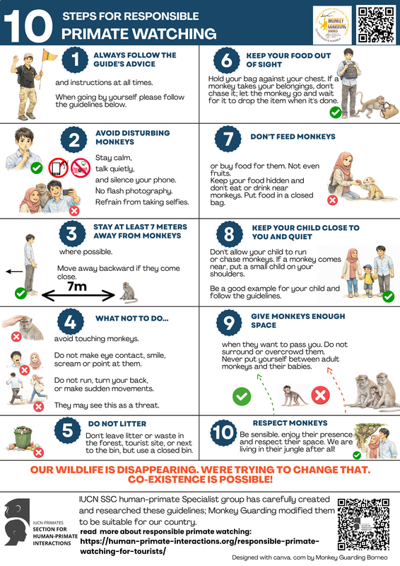 primate-watching-april-2026_orig.png