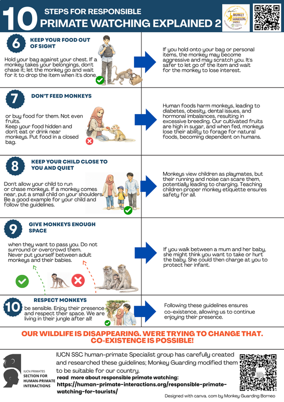 watching-explained-2_orig.png