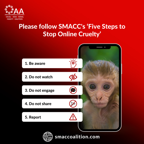 5-steps-to-stop-online-cruelty-animal-on-phone-3.png