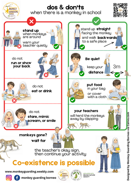 poster-dos-and-don-ts-when-monkeys-are-in-school-english.png