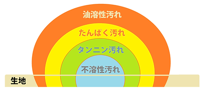 シミ組織.png
