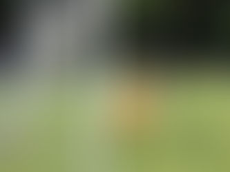 Matchbericht 1. Mannschaft vs. FC Azzuri Bienne