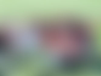 Matchbericht 2. Mannschaft vs. FC Aemme