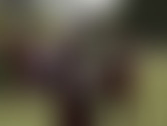 Matchbericht 2. Mannschaft vs. FC Weissenstein