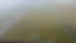 DJI_0313.JPG