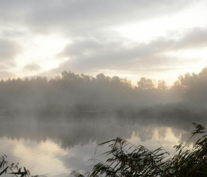 The Art of Just Being