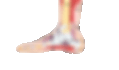 ree