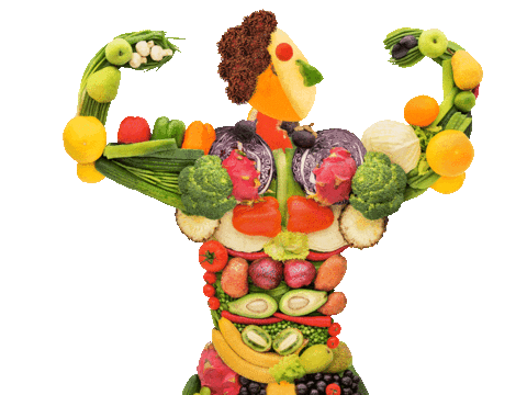 BALANCED-DIET.gif