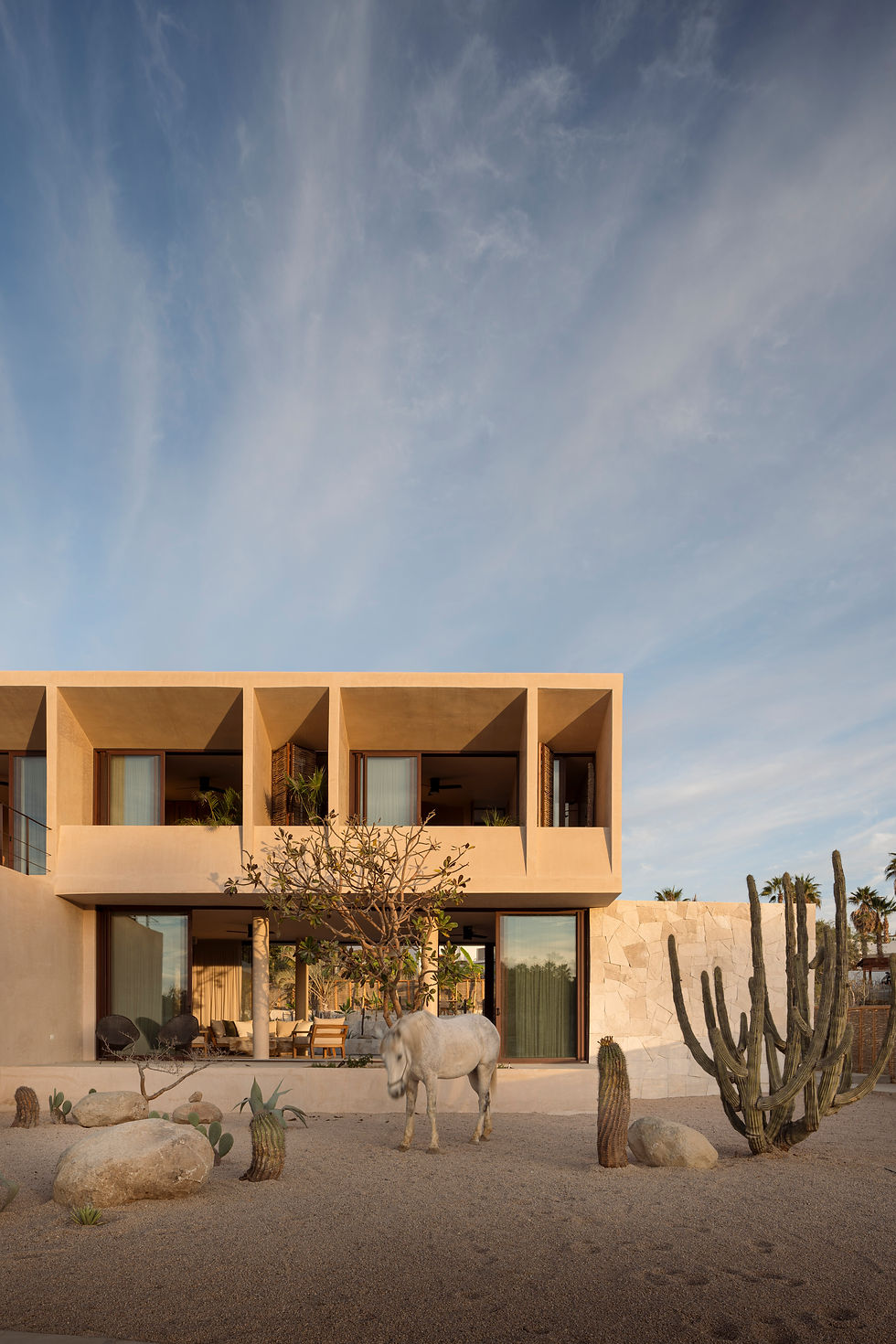 APIRON_KAANCHE x CBSTD-4.jpg