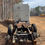 Thumbnail: Kenworth W900