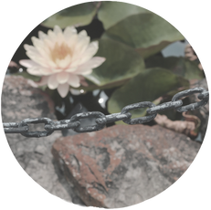 depression flower and rock representation