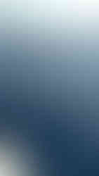 Δελφίνια στο Πόρτο Ράφτη