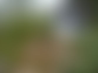 Πως πήρε το όνομα της η Βραυρώνα?