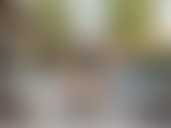 Transform Your Backyard with Outdoor Living Spaces