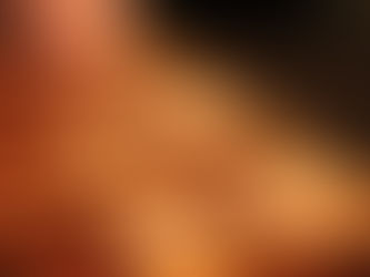 Diverse oranje-activiteiten tijdens Koningsdag bij De Meent